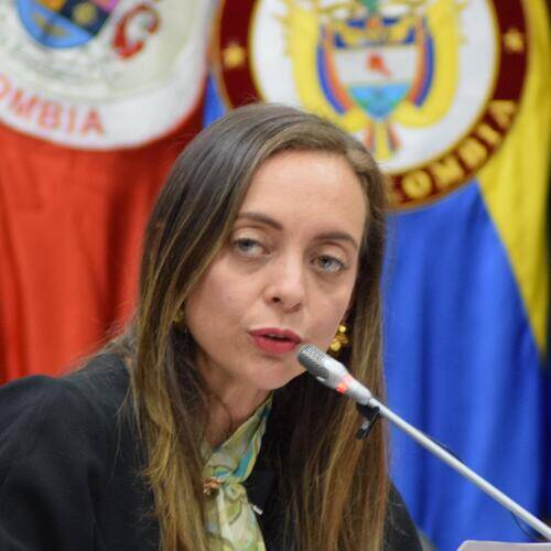 Ana Paola Agudelo García