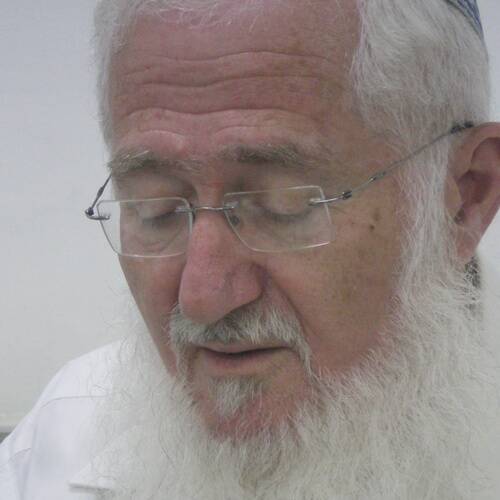 Eliezer Waldman