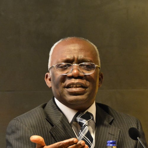 Femi Falana