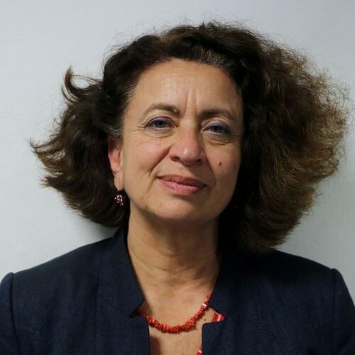 Ghada Hatem-Gantzer