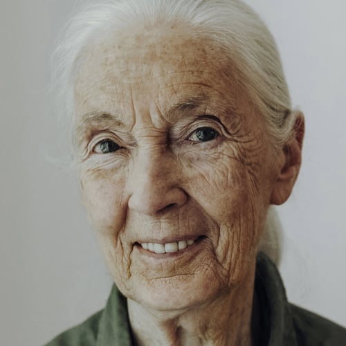 Jane Goodall