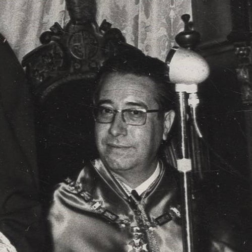 José Luis Villar Palasí