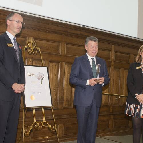 Kathy Willis, Baroness Willis of Summertown