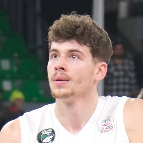 Luka Brajkovic