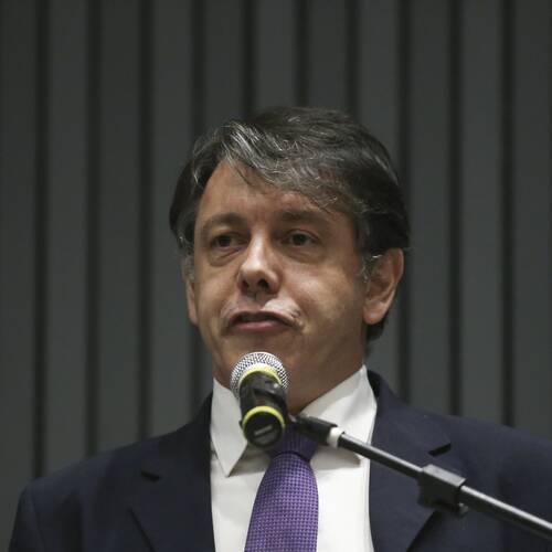 Marcelo Viana