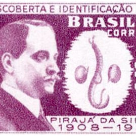 Pirajá da Silva