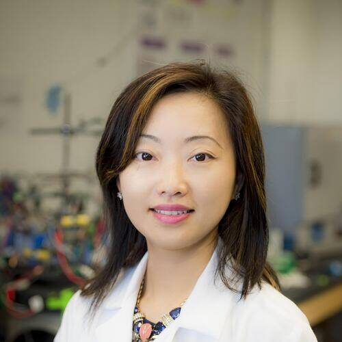 Ying Shirley Meng