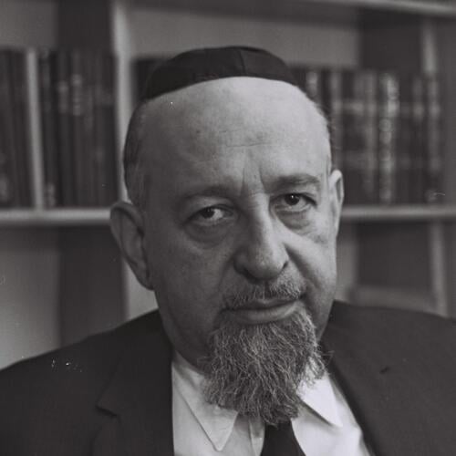 Shlomo-Yisrael Ben-Meir