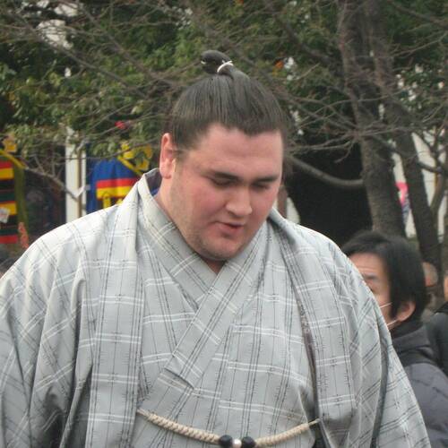 Wakanohō Toshinori