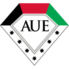 American University in the Emirates logo