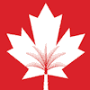 Canadian University of Dubai logo