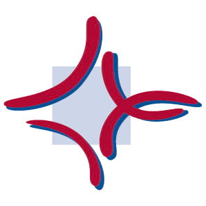 Catholic University of Applied Sciences in Mainz logo