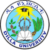 Dilla University logo