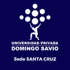 Domingo Savio Private University logo