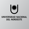 Northeast National University logo