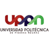 Polytechnic University of Piedras Negras logo