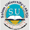 Salem University - Nigeria logo