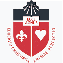 St John's University - New York logo