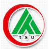 Taishan University logo
